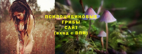 скорость Баксан
