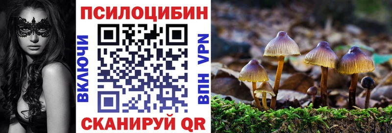 Псилоцибиновые грибы GOLDEN TEACHER Лыткарино