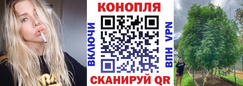 Каннабис конопля  наркотики  Лыткарино 